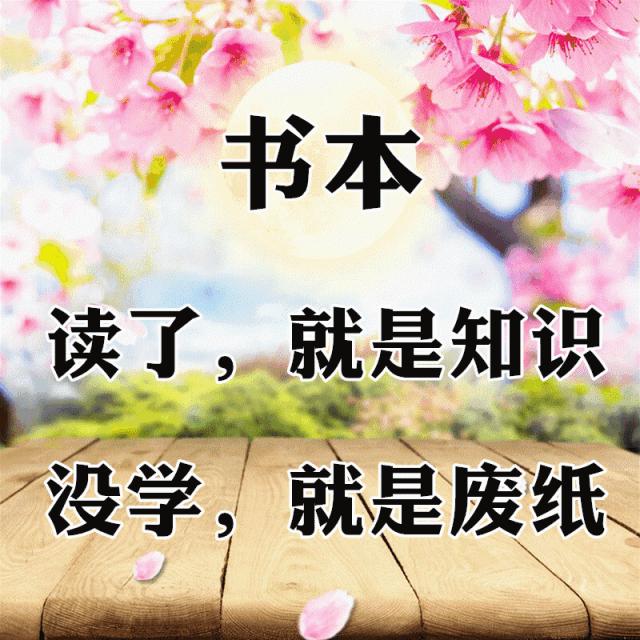 10张会动的照片,11张会动的图片