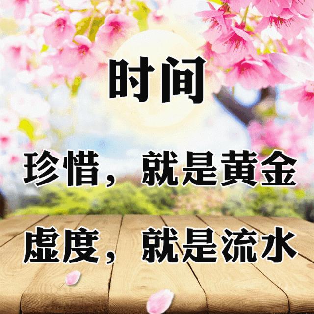 10张会动的照片,11张会动的图片