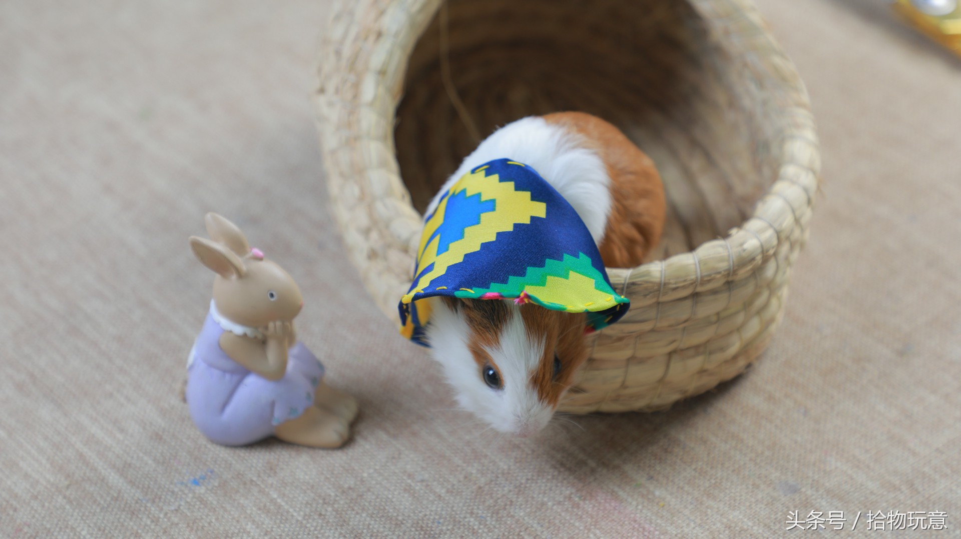 自制围脖宠物,自制宠物三角巾围脖