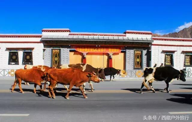 拉萨旅游攻略必去景点大全,拉萨旅游景点推荐及攻略