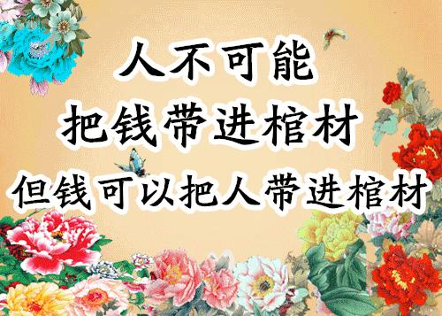 会动的图片21张太美了,会动的风景图片大全