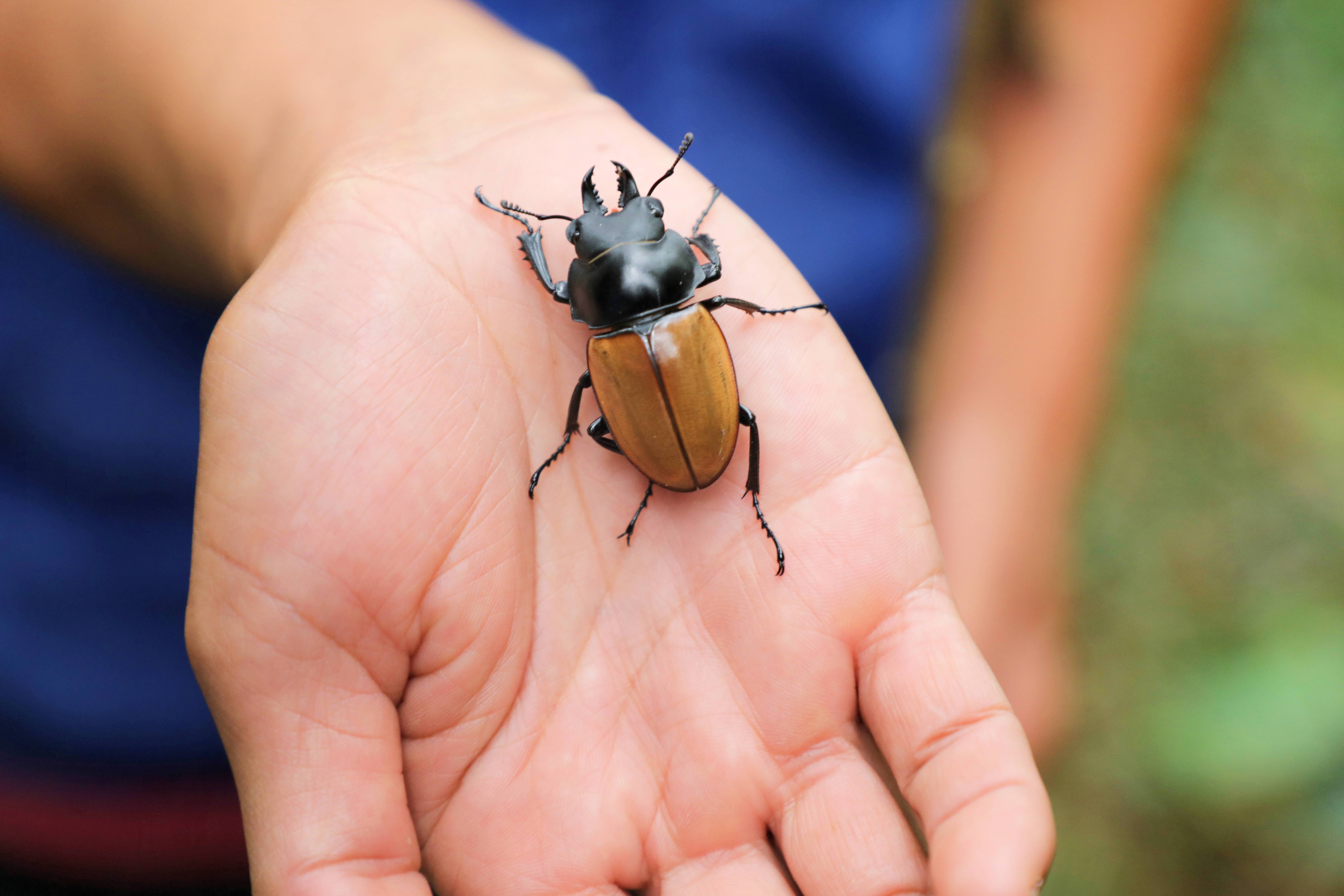 光唱歌就能给村里分红,曾祭人头的神秘佤族,走进你不知道的云南