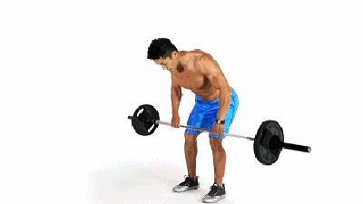 健身房一周训练计划健身动作教学,老年健身房一周健身计划表