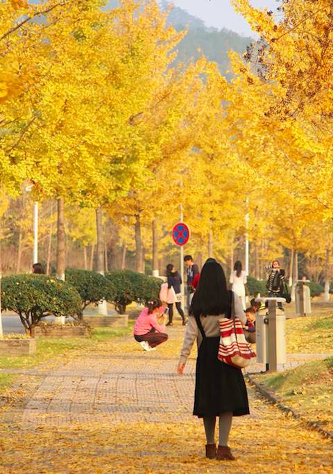 不要去杭州,杭州西湖值得去的地方