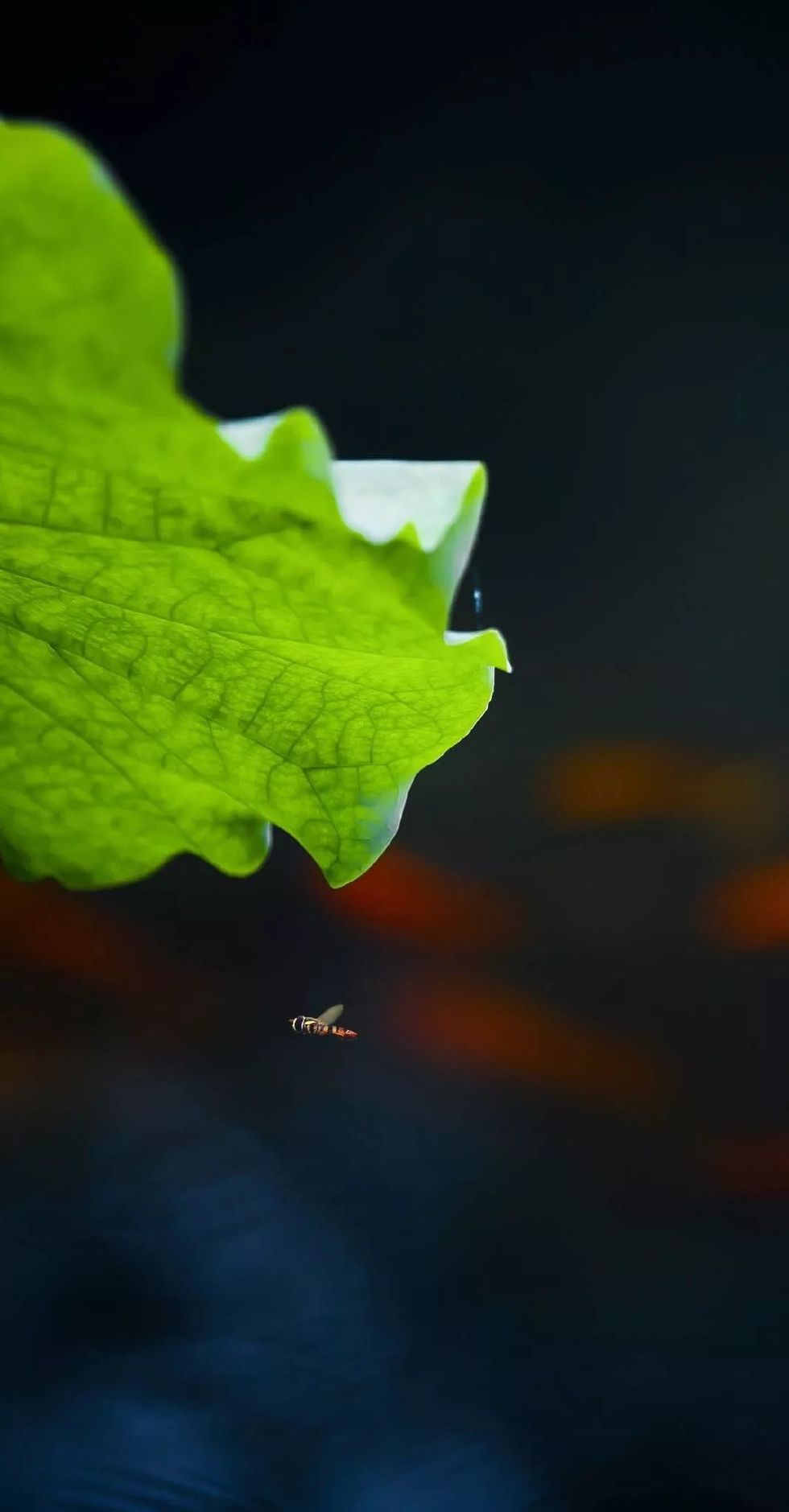 古有“九雅”，忘忧释怀丨私享·仿古