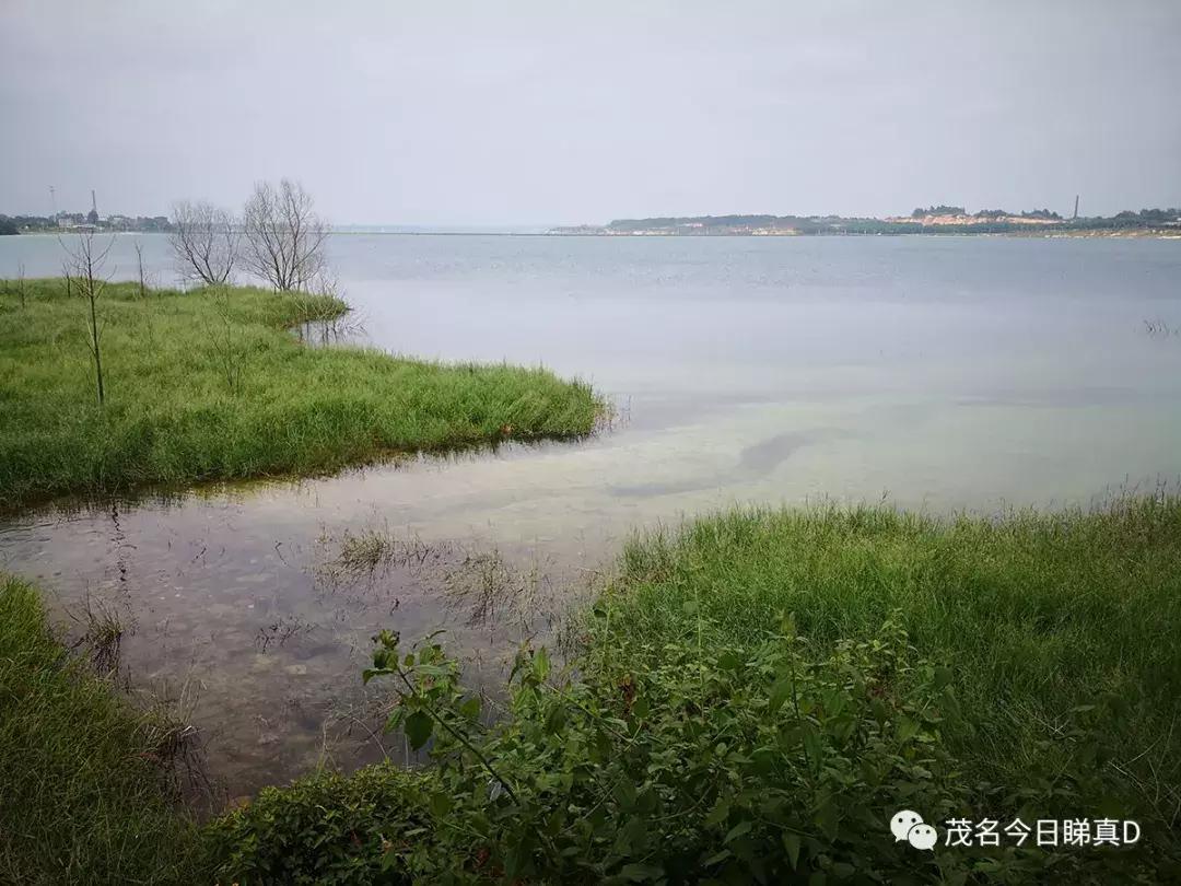 茂名露天矿环湖规划设想,茂名露天矿重大项目开工