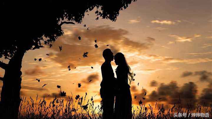 属相牛与猪的婚配,牛的属相婚配对照表