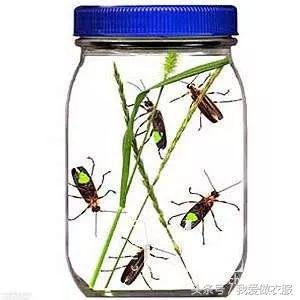 袜子废丝回收,旧长丝袜怎么废物利用