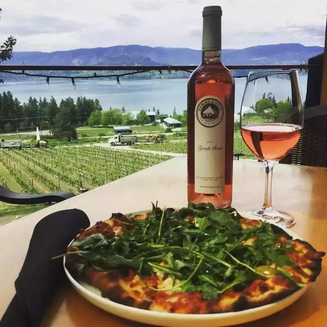 “锦鲤”信小呆的经历,中国锦鲤信小呆环游世界2年归来