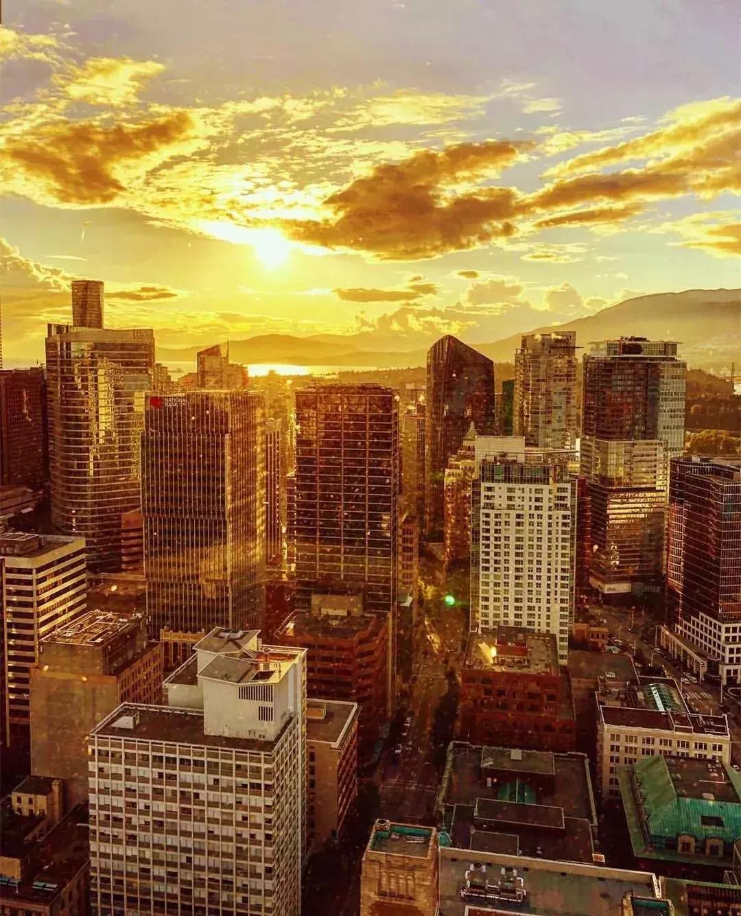 “锦鲤”信小呆的经历,中国锦鲤信小呆环游世界2年归来