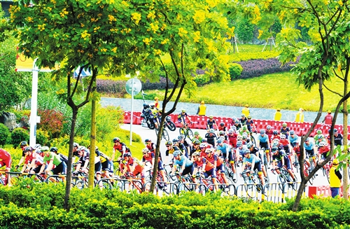 环广西终点冲刺,环广西日程