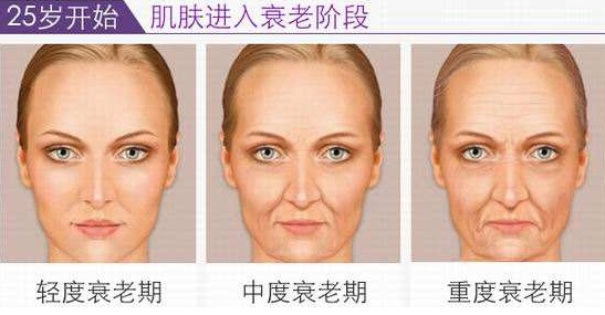 丸美弹力蛋白颈纹,丸美弹力蛋白凝时紧致系列专柜价