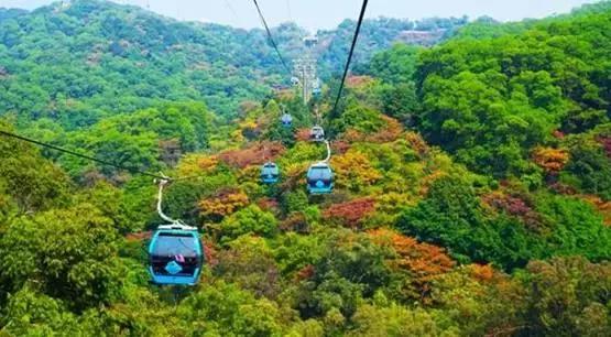 重阳登高旅游攻略,广州重阳登高详细攻略