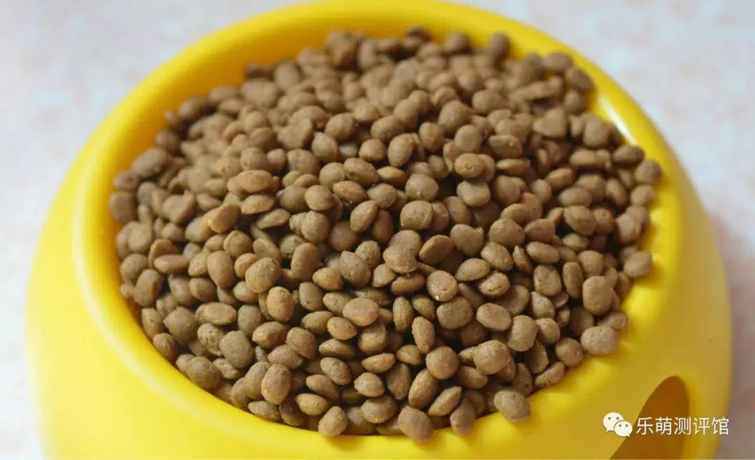 狗狗宠物冻干粮,宠物狗冻干粮