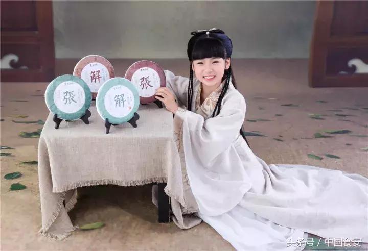 云南龙润茶业,云南龙润茶简介