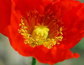 单反数码摄影入门教程,数码单反摄影进阶完全教程