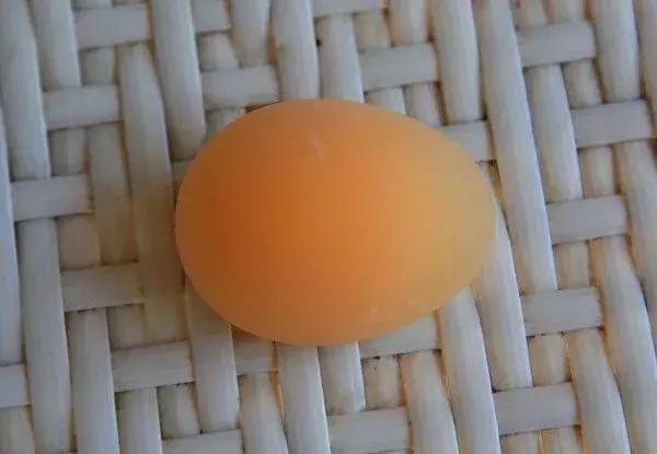 蛋壳变软是什么变化,蛋壳出了什么问题