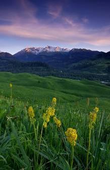 单反数码摄影入门教程,数码单反摄影进阶完全教程