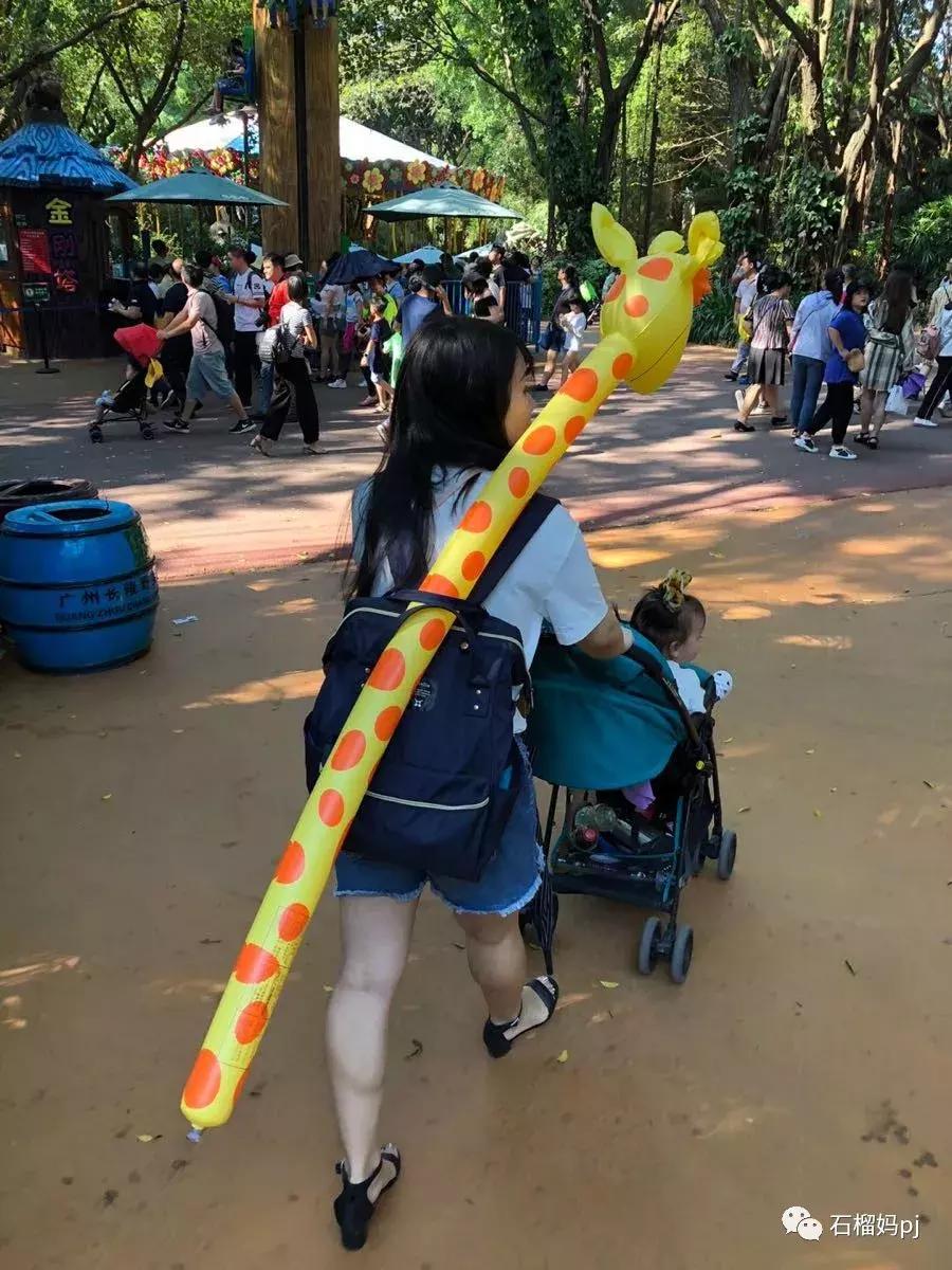 长隆欢乐世界和长隆野生动物园,广州长隆野生动物园侏罗纪公园