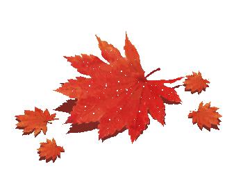 九月九重阳节早上好问候和祝福,九九重阳节把最美的祝福送给你