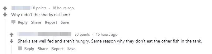 「奇葩」加拿大男子鲨鱼池里裸泳,虎鲨:“这条小蚯蚓我没兴趣”