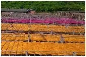 29个适合农村致富的小本创业项目,2023农村小本创业好项目