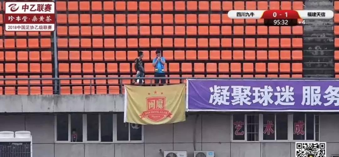 秋日中的一抹紫色,秋日里的一抹嫩绿