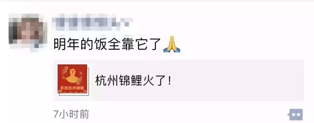 中国锦鲤活动在哪里,18年的锦鲤活动有哪些