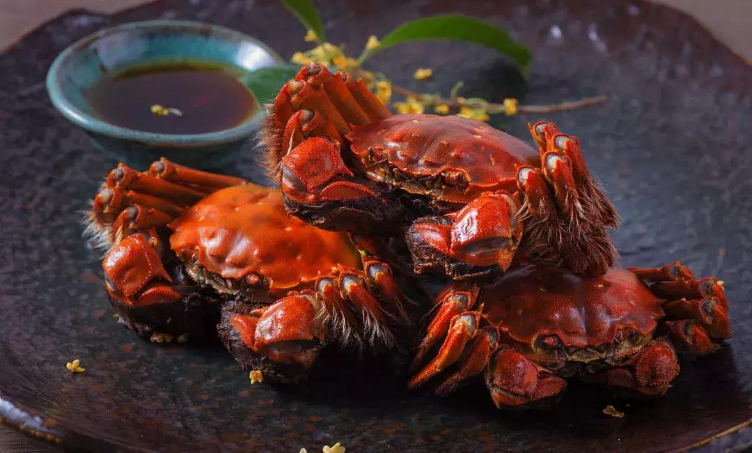 我保证，这是史上最豪华的“暴富锦鲤”