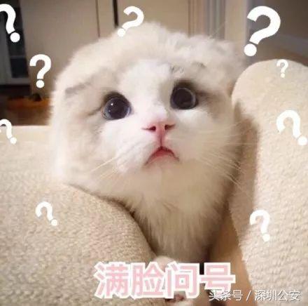 锦鲤活动什么时候开始的,锦鲤活动的关键点