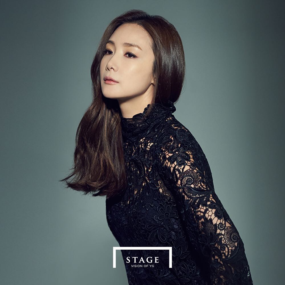 河智苑的韩国艺人,河智苑韩流