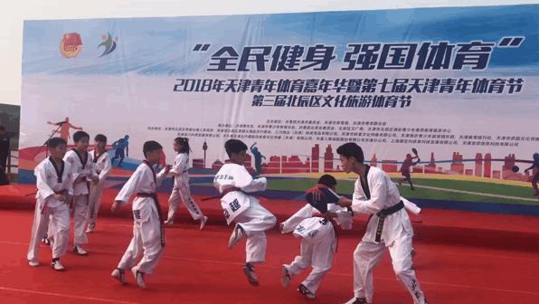 天津青年文化运动节,天津第四届青年运动会开幕式