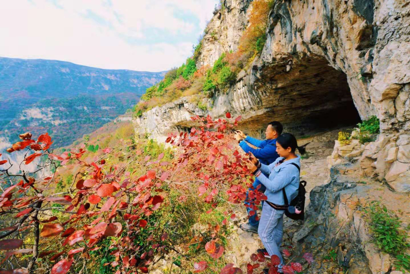 邢台云梦山“红叶节”开启!上万亩黄栌、五角枫勾勒太行山独特美景