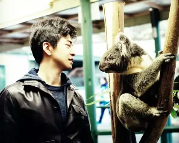 李健教育子女,李健养宠物