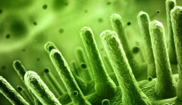 现在流行的网络病毒是什么,有名的网络病毒