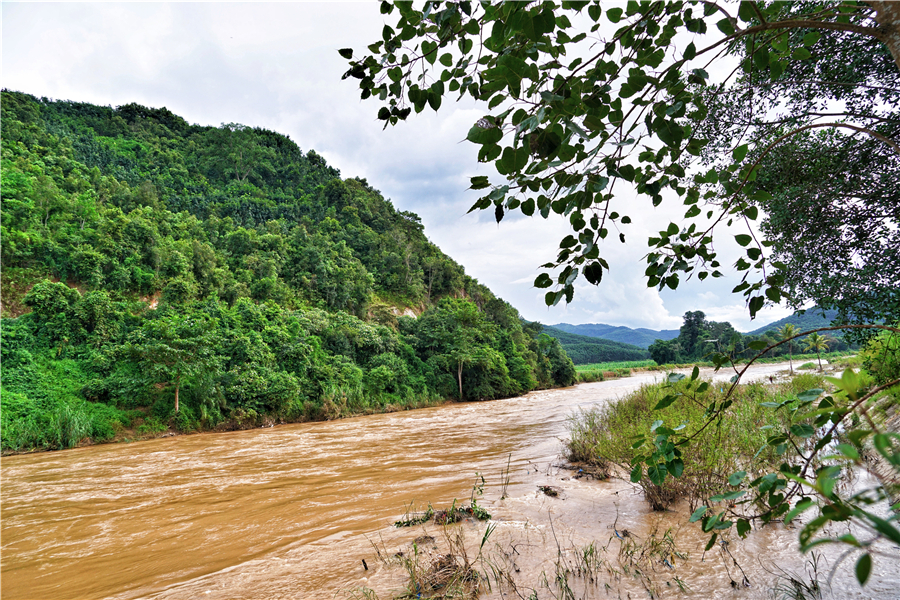 秀丽神奇的西双版纳完整版,云南西双版纳神奇的地方