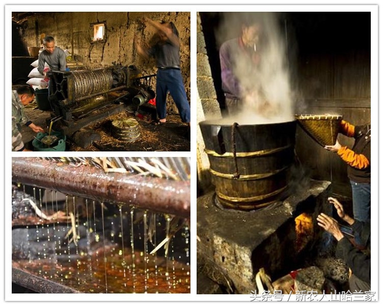 月子油什么油最好,月子万能油