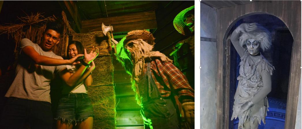 香港海洋公园11月,香港海洋公园北极之旅