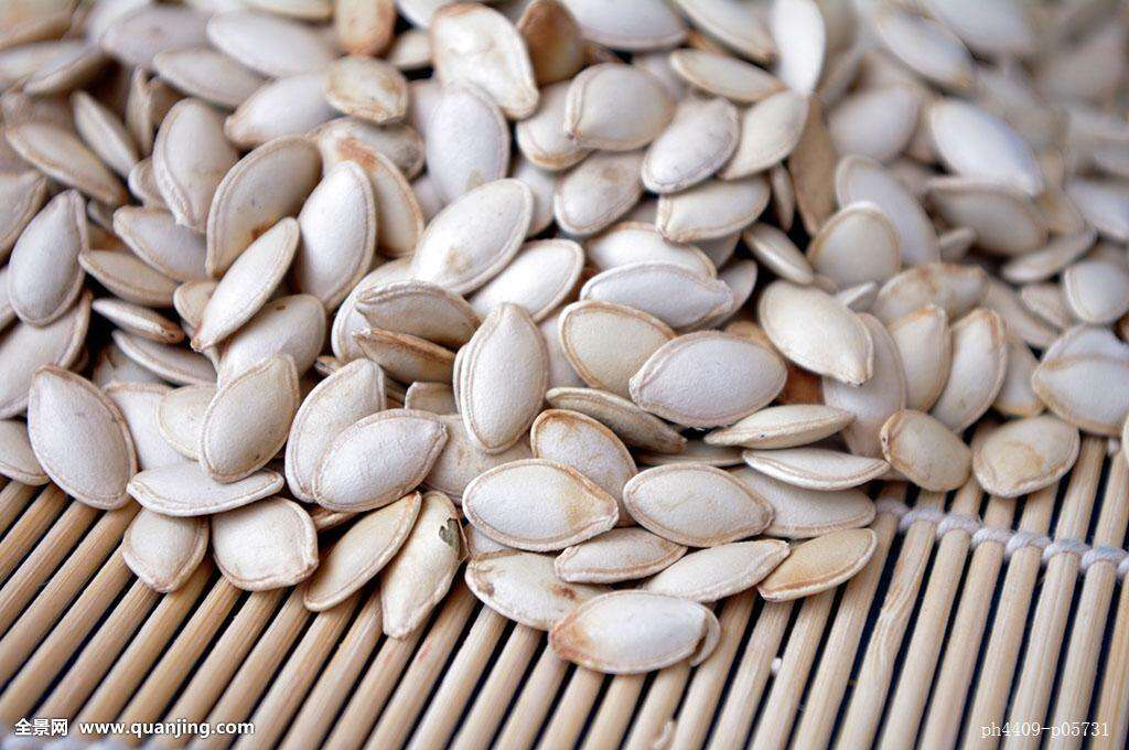 中药材长的像南瓜子的是什么,中药材南瓜子最新价格现在是多少