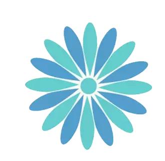 招聘总经理助理视频,招聘急聘前台跟运营主管