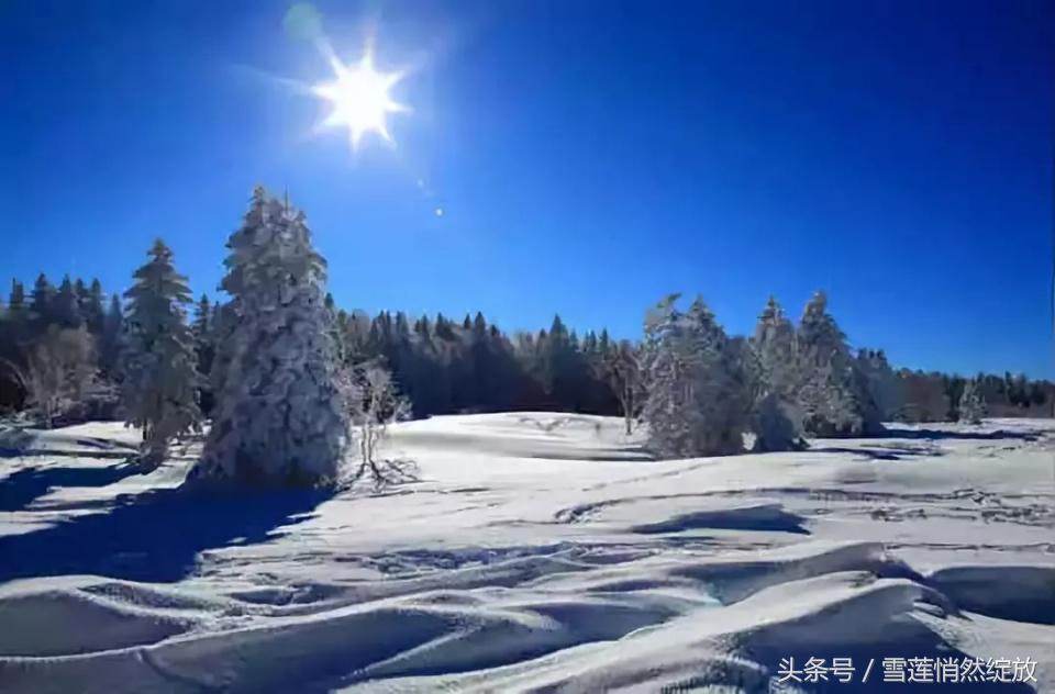 上海特产必买清单一览表,各地特产礼品一览表