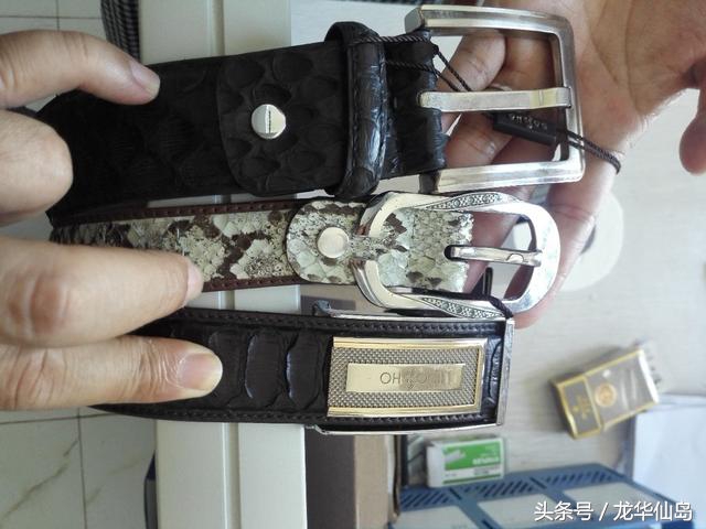 热带雨林探险之旅遇见蛇,亚公顶森林公园蟒蛇