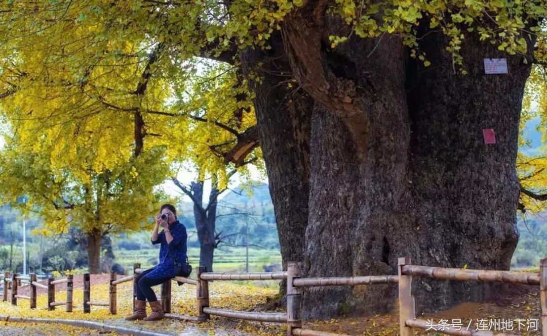 回忆连州,连州在哪里呀