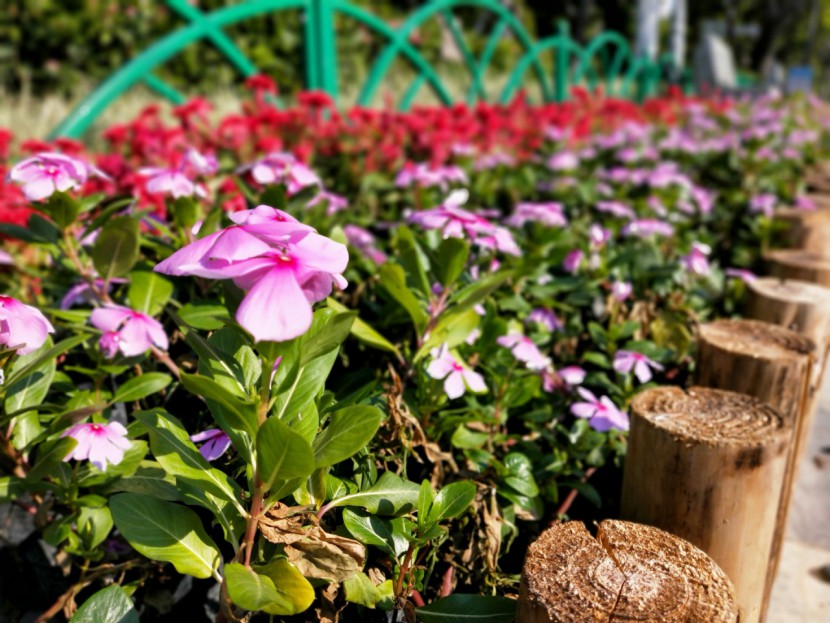 oppok1现在还值得入手吗,oppok1解锁