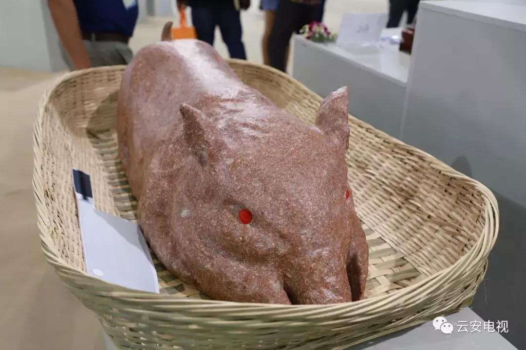 叹为观止发布会,顶级奇石展播视频