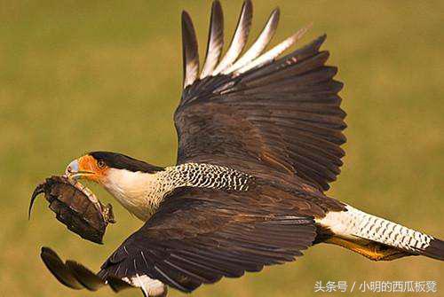 百万种硬的方式：名人背后的痛苦