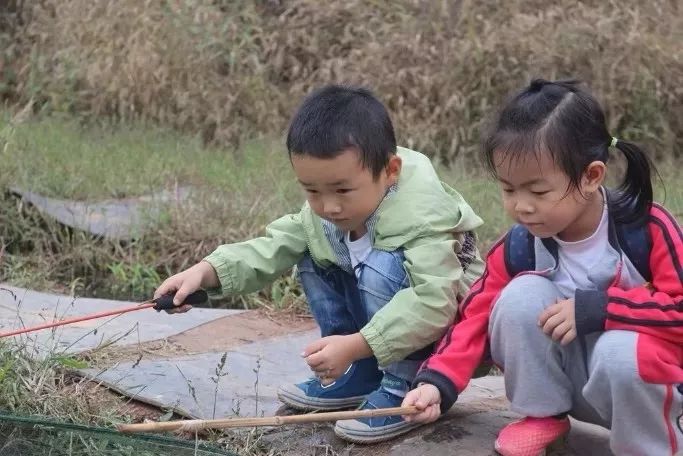 亲子网红庄园,网红亲子农庄在哪里