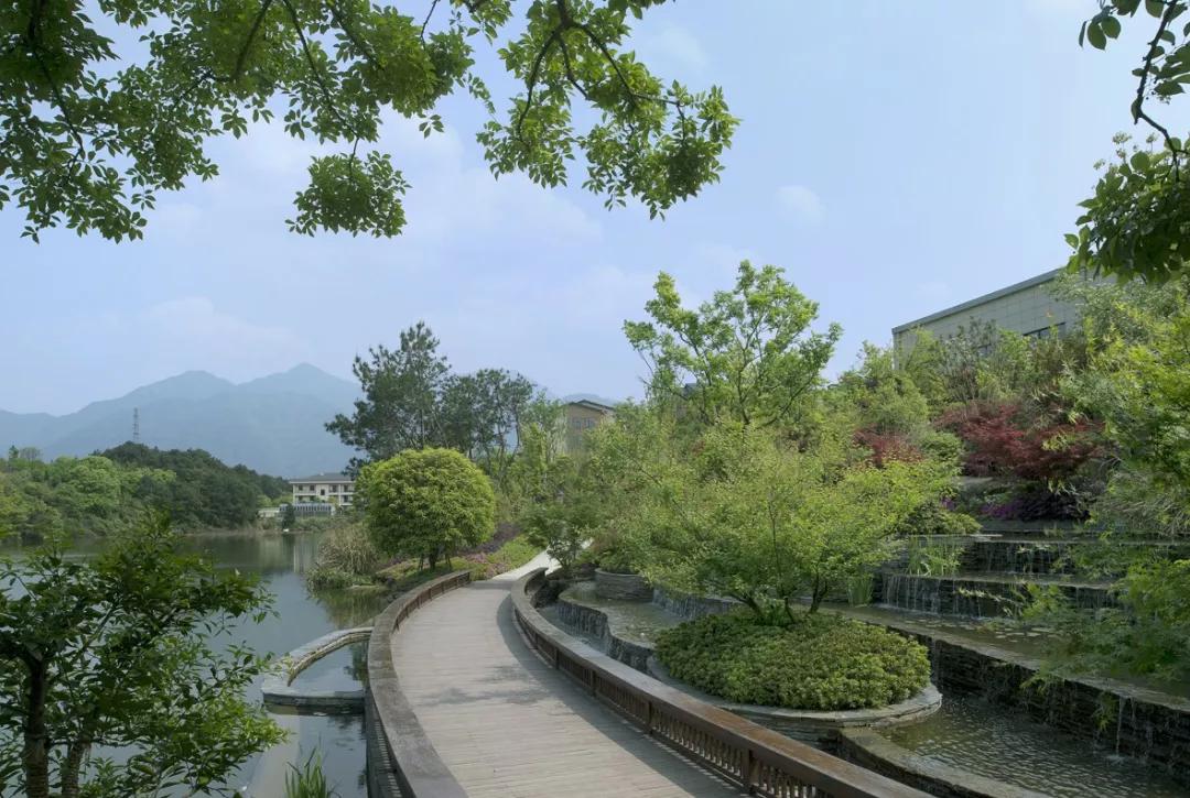 “望闻食嗅”皆养生……桐庐开启大杭州首条中医药健康养生之旅！