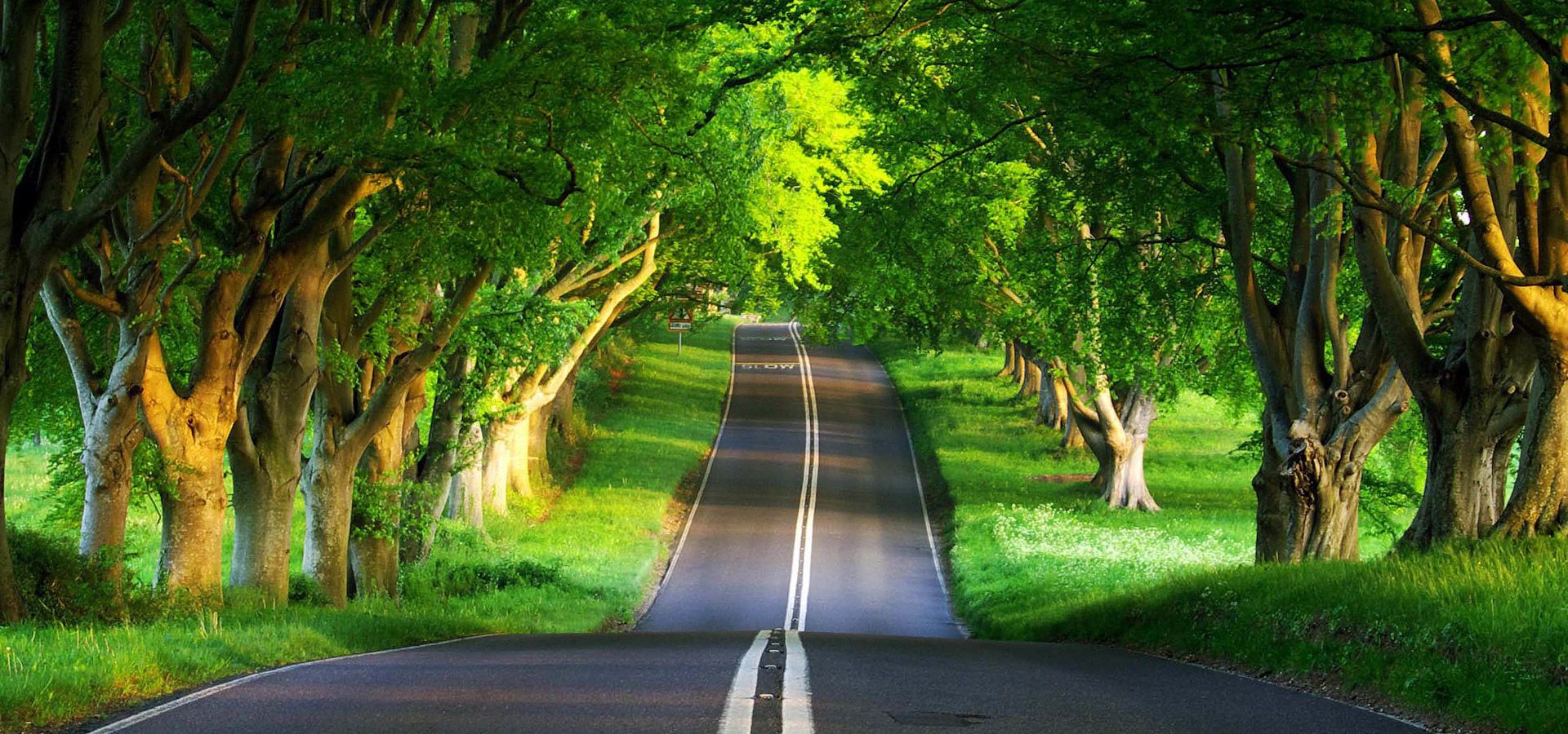 中标价116.7万的采购项目,中标价下浮197点