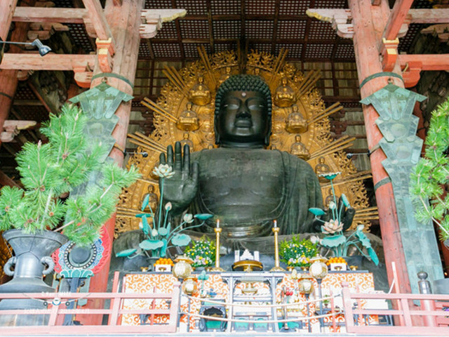 中国人去日本见啥买啥，而日本人在中国却只喜欢这两样